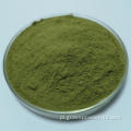 Organiczny sok z trawy lucerny zielony proszek